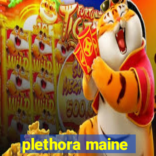 plethora maine